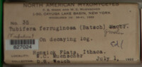 Image Associated With the Occurence